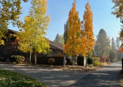 Oregon Geriatrics Society 2024 Conference - several smaller trees, orange and gold from the changing season to autumn, behind a rustic lodge. Blue sky above, fallen leaves on the concrete walkway